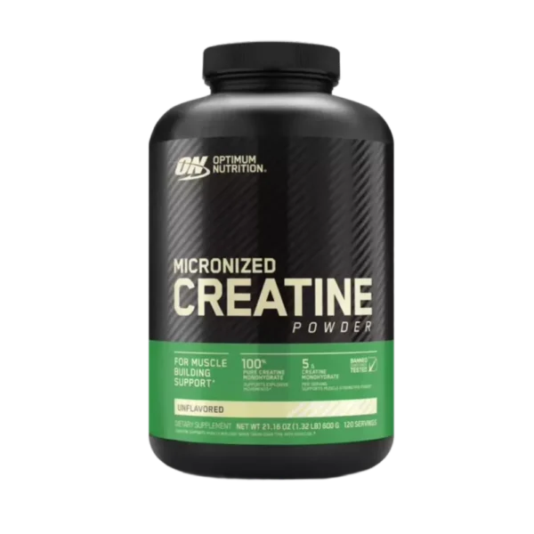 Optimum Nutrition Micronized Creatine 600g | 120 Servings